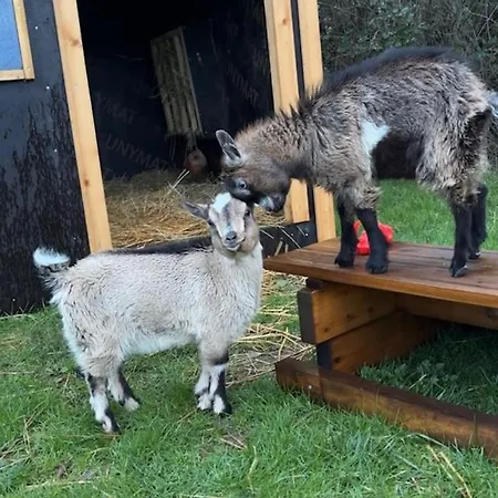 Maison Centre D'arnage Idéal 24h Du Mans Et Le Mans Classic *